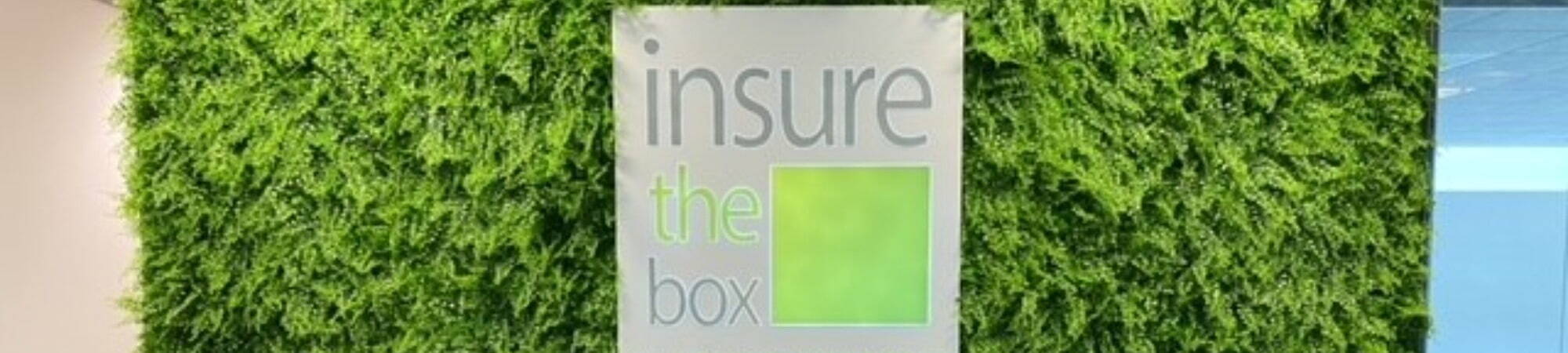Insure the box logo